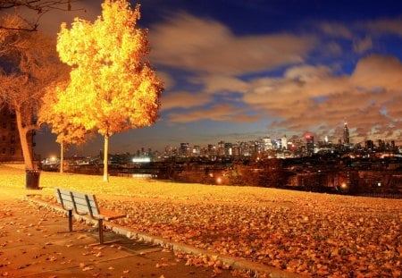 Autumn view - pretty, relax, yellow, town, amazing, evening, night, reflection, shore, bench, lake, golden, nice, sky, clouds, falling, trees, beautiful, city, lovely, buildings, rest, fall, colorful, river, nature, autumn, foliage