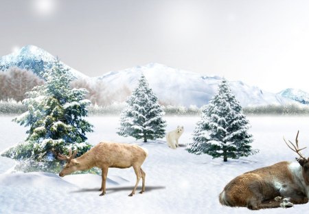 Early Winter Snow - clouds, christma, trees, winter, snow, white fox, deer, bright, soft, mountains, sky