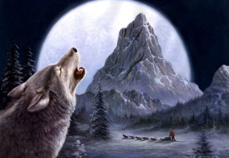 wolf howling in the dark night - night, wolf, dark, howling