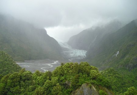 Foggy New Zealand - fog, water, sky, trees