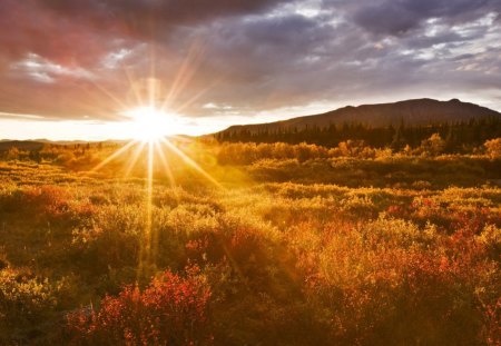 glorious sunset in alskan autumn - autumn, mountain, clouds, sunset, meadow