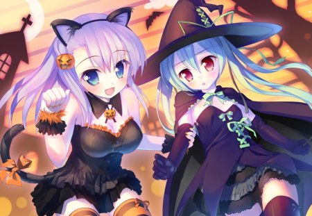 Anime - witch, anime, neko, pumpking, halloween