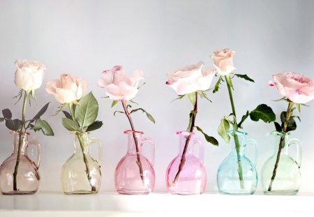 * Bright day for Charismatic * - roses, petals, colors, tender, brightness, rose, flower, vase