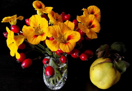 Autumn beauty - flowers, yellow, autumn, red, rosehips, beauty, orange, quince