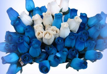 * White and blue * - white, roses, blue, blue roses, flowers