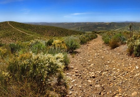 Roads go on for ever - entertainment, people, nature, desert