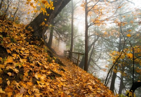 *** Autumn *** - nature, autumn, trees, leaves, park