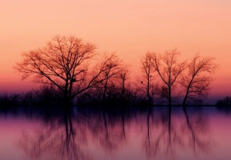 Silent scene - water, landscape, scene, sunrise, forest, harmony, sunset, nature, hd, lake, sky, wallpaper