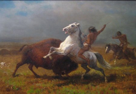 the hunt - horses, buffalo, indians