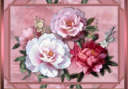 Framed roses - flowers, roses