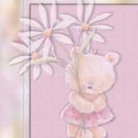 Bear and daisies