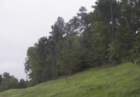 Highway Hills - hill, nature, tree