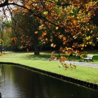 Autumn in the park