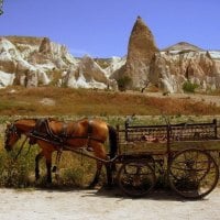 cappadocia means beautiful horses lands