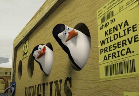 Madagascar - Penguins - penguins, animation, film, madagascar