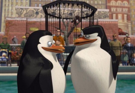 Madagascar - Penguins - animation, madagascar, penguins, film