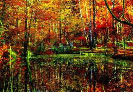 AUTUMN FOREST - nature, autumn, bridge, pond