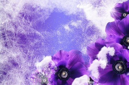 Purple Floral Winter - ice, winter, purple, fleurs, cold, ice crystals, snow, frost, snowing, flowers, poppies