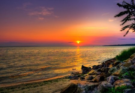 Mango sunset - pretty, calm, sundown, coast, beach, sunrise, light, reflection, shore, nice, sky, mango, clouds, sunlight, branches, trees, water, beautiful, sea, sunshine, lovely, orange, ocean, stones, glow, nature, sunset, rays, rocks