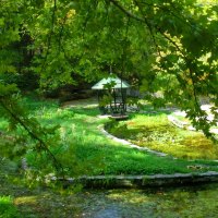 Small forest gazebo