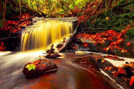 RIVER FALLS - river, nature, autumn, falls