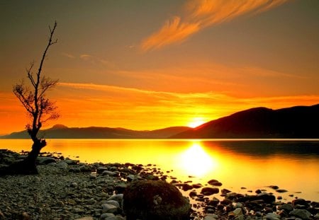 FALL SUNSET - fall, landscape, lake, sunset