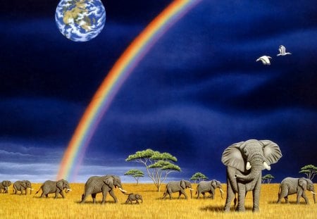 Family of elephants - rainbow, wlwphant, wild, animal, family