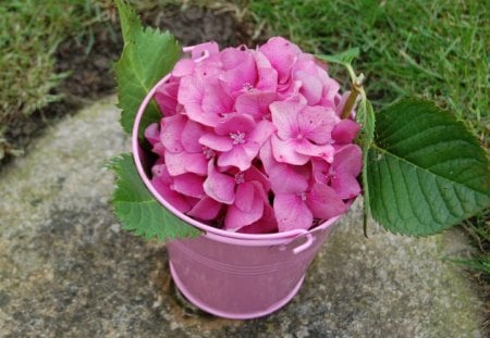 Innocent Bucket♥ - pretty, innocent, lovely, love, pink, sweet, flowers, fresh, nature, green, garden, bucket