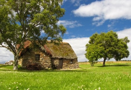 Meadow - cottage, nature, tree, meadow, grass