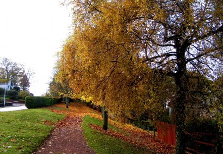 Autumn pathway 2 - path, golden, leaves, autumn