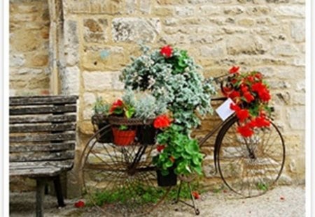 so many flowers :) - flowers, wood, bench, bicycle, bouquets