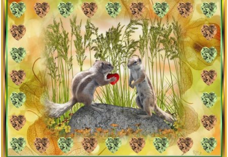 AUTUMN LOVE! - squirrels, forest, autumn, hearts