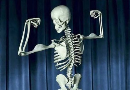 Building Strong Bones - skeleton, curtain, humor, bones