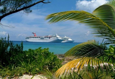 Ocean Palm - vessels, sky, palm, ocean