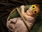 *** Sleeping girl in basket ***