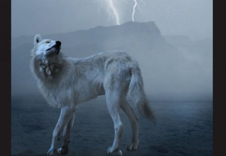 Wolf - lighting, wolf, mountains, background