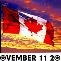 NOVEMBER 11 2012