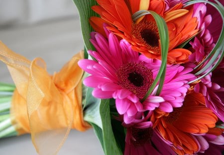 Bouquet tied with orange ribbon♥ - forever, special, love, pink, orange, bouquet, gerberas, wonderful, fresh, green, ribbon, tied with