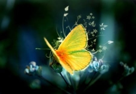 Beautiful butterfly - nature, butterfly, beautiful, plant, animal