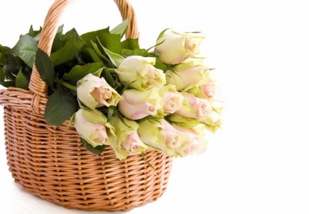 * Basket of roses * - roses, gift, basket, bouquet, lovely, flower