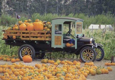 Antique Trucking Through the Pumpkin Patch