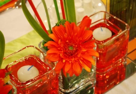 Color Me Fabulous!â™¥ - love, candles, fashion, daisy, white, entertainment, fabulous, forever, gerbera, orange