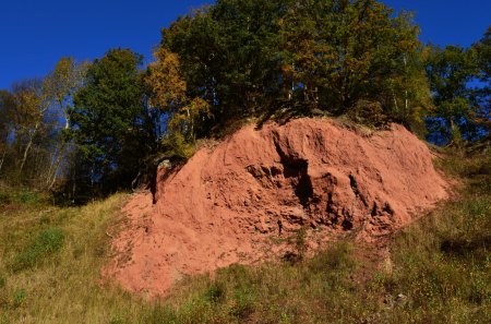 Deep Blue Sky in Autumn - wall, trees, colors, grass