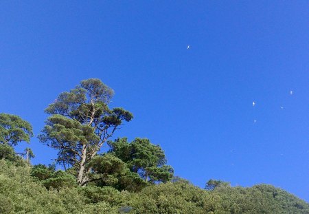 Blue sky at Meadfoot - nature, sky, landscape, trees, views