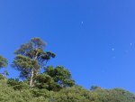 Blue sky at Meadfoot