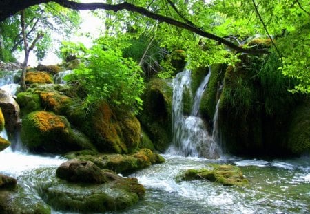 Waterfall - calm, cascades, creek, stream, forest, nice, sky, branches, trees, water, beautiful, lovely, fall, nature, waterfall, green, serenity, peaceful