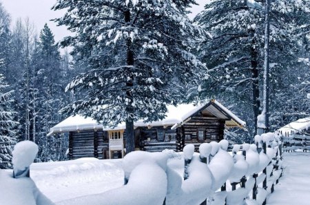 Cottages in winter - house, trees, winter, cabin, beautiful, snow, forest, lovely, fence, deep, white, nature, cold, nice, cottage