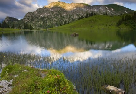 Seebergsee Canton of Berne Switzerland - clouds, trees, water, grass, forest, reflection, daylight, mountain, nature, land, lake, day, sky