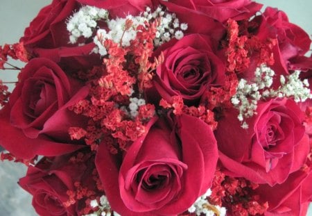 Bouquet of red roses - white, roses, photography, red, flowers