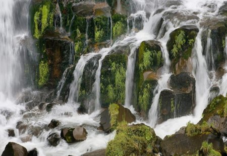 Waipunga Falls, North Island, New Zealand - waterfalls, water, falls, rock, weeds, grass, forest, daylight, white, nature, green, day